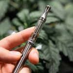 Disposable Weed Pens: Are They Worth the Hype?