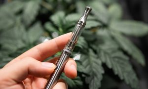 Disposable Weed Pens: Are They Worth the Hype?